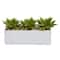 13" Agave Succulent in White Rectangular Planter